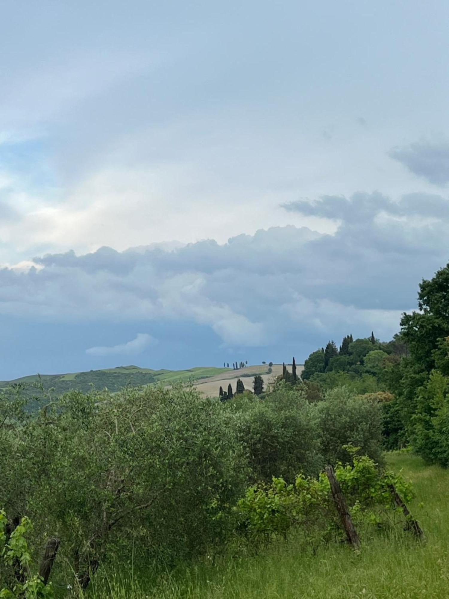 Agriturismo Podere Cortilla Volterra Extérieur photo